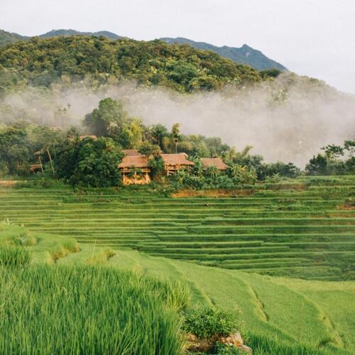 Du lịch quốc tế đến Việt Nam tăng trưởng ấn tượng trong chín tháng đầu năm 2024